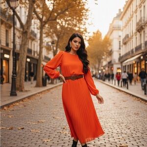 Zara maxi pleated dress with belt